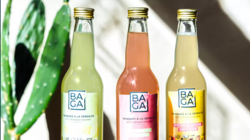 Baga, la boisson au CBD est enfin disponible à la vente