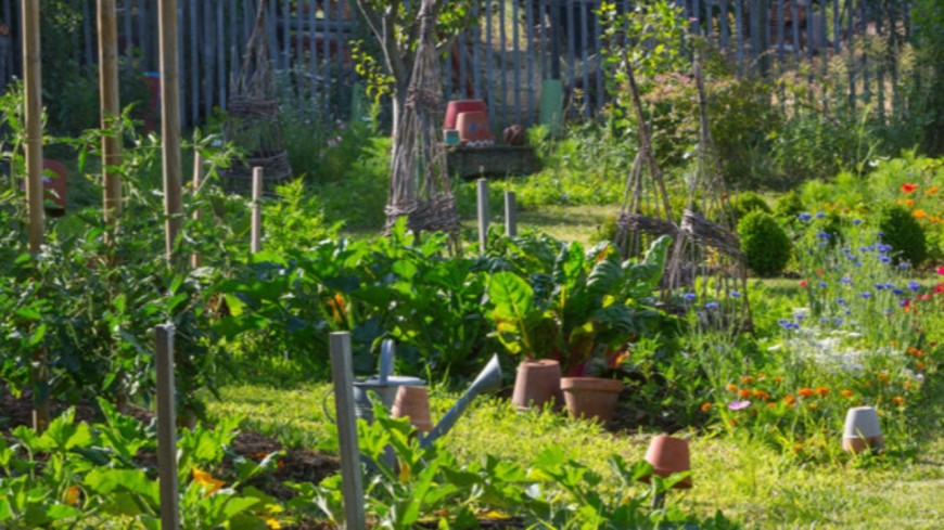 Un nouveau jardin partagé à la Croix-Rousse (vidéo) Un nouveau jardin partagé à la Croix-Rousse (vidéo)