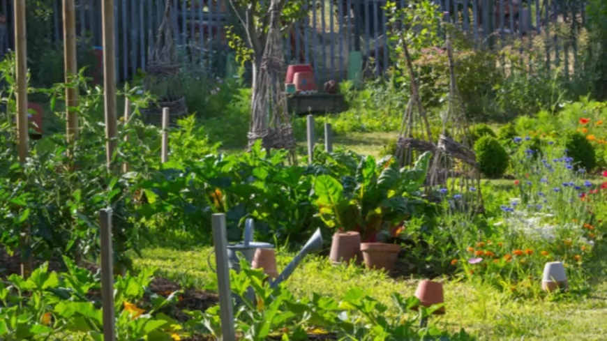 Un nouveau jardin partagé à la Croix-Rousse (vidéo)
