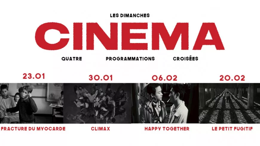 Ciné-club du dimanche à Lyon !