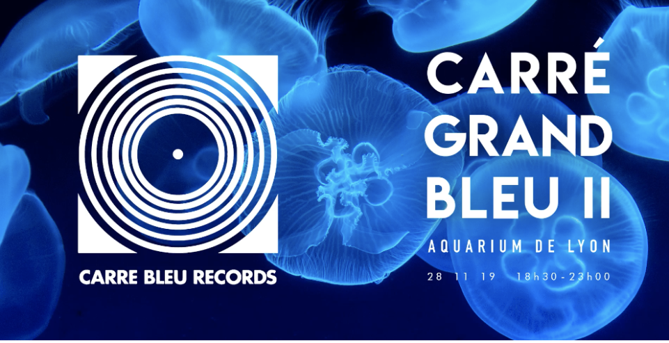 CARRÉ GRAND BLEU II - Immersion dans L'Aquarium de Lyon