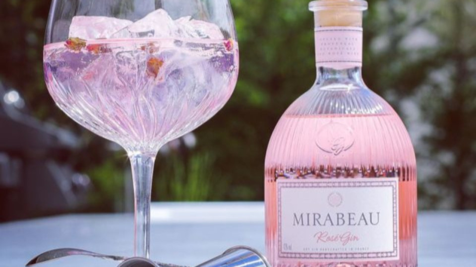 THEGINGADDICT.COM : la nouvelle plateforme de e-commerce 100% Gin, 100% Française