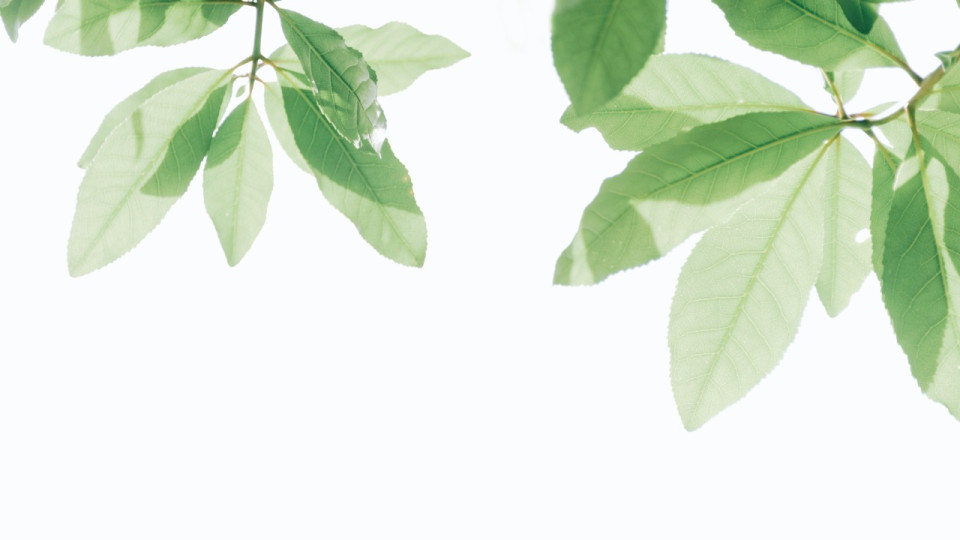 The Greener Festival revient pour une sixième édition !