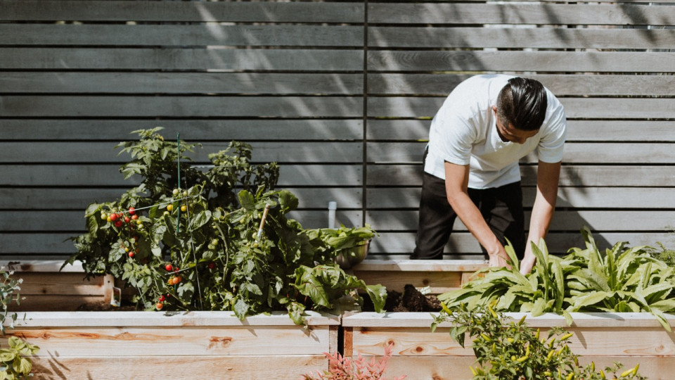 Une grande jardinerie éphémère va être installée en plein coeur de la presqu'île lyonnaise