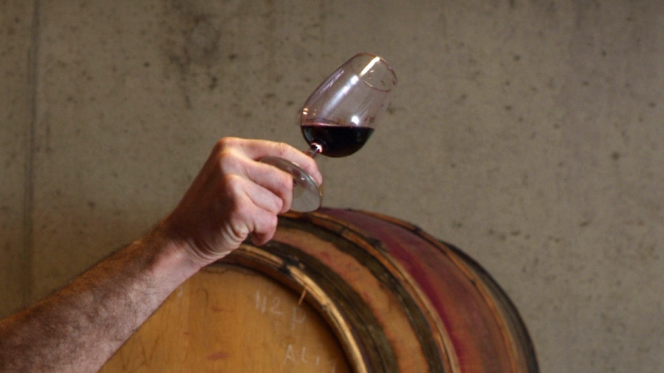 Lyon : dégustation de vins à Lavigneetlatable ce lundi (21/11/22)