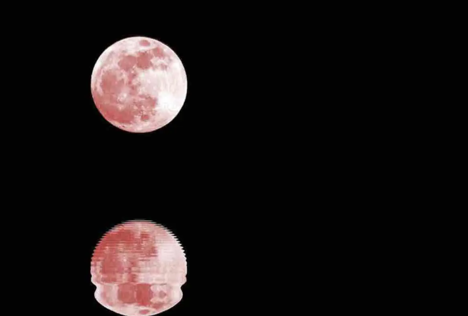 Ce soir vous pourrez assister au phénomène de la "lune rose"