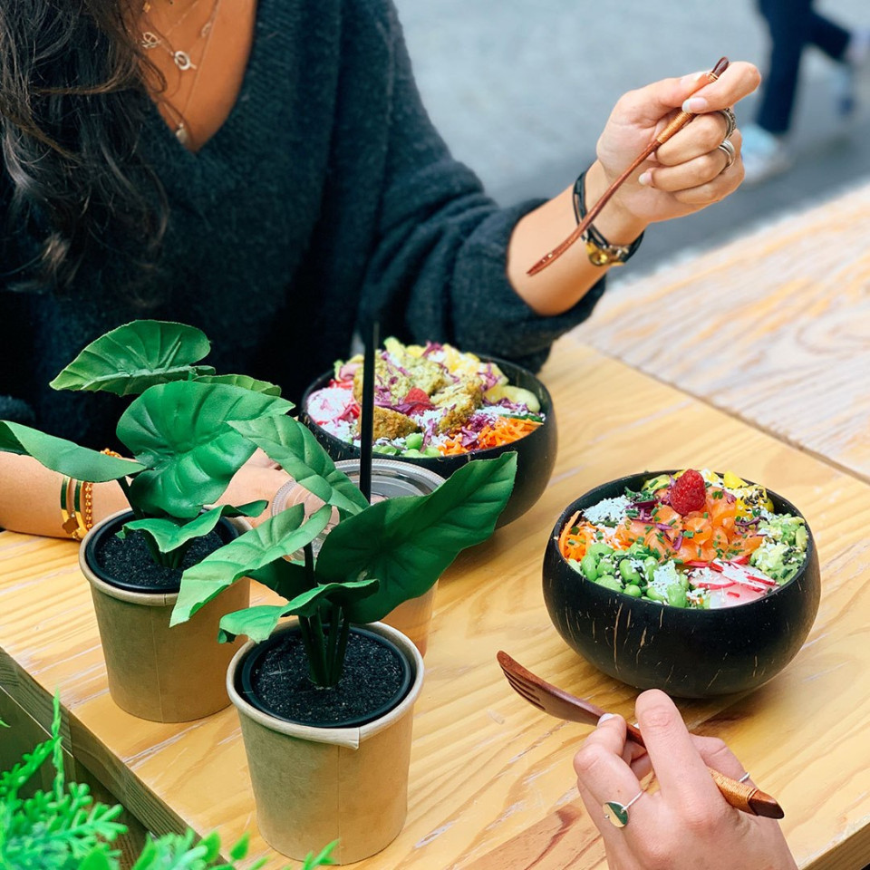 Opening de Free Poké